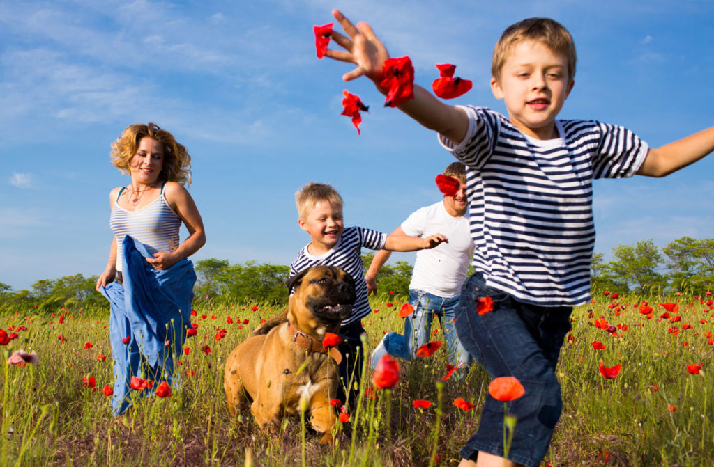 Family and dog running through flower field